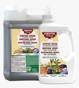 Forever - Savon noir à l’huile d’olive